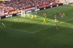  莎拉波娃为什么叫死鱼 